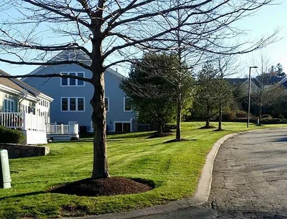 work photo from elfslandscapeinc.com