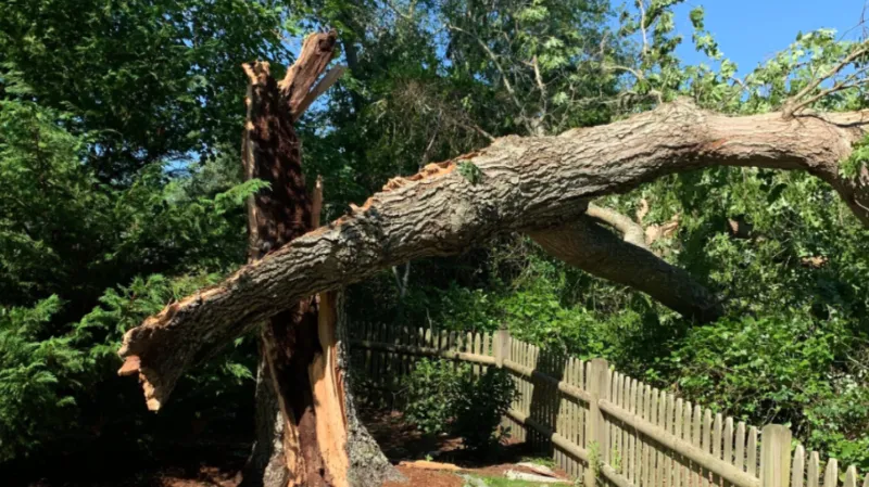 StormDamage_snippet_rszd.png
