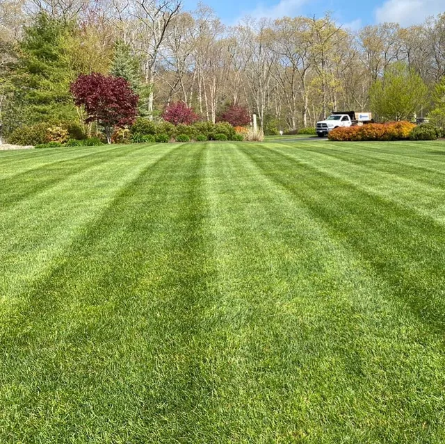 Satuit Landscape work photo