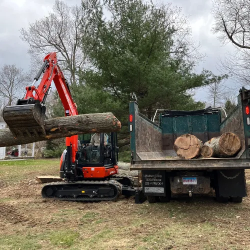 work photo from gnltreeservices.com