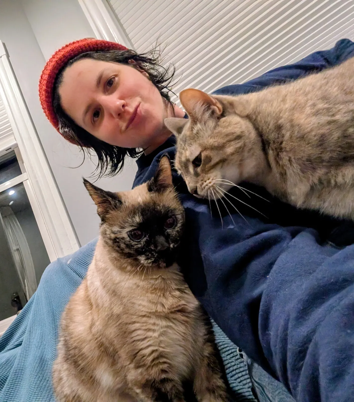 A woman with short dark hair, wearing a red knit beanie, lying on a couch with her head tilted, accompanied by two cats. One cat is a Siamese with light brown and cream fur, one is a gray tabby with a striped pattern. The woman is smiling subtly, and the cats are resting on her and her arm.