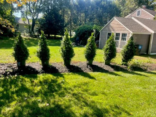 A&M Landscaping Corp. researched project photo