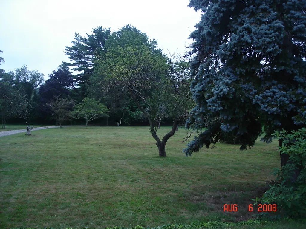 AZ-U-MAK-IT Lawn Care researched project photo