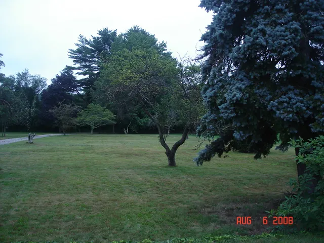 AZ-U-MAK-IT Lawn Care researched project photo