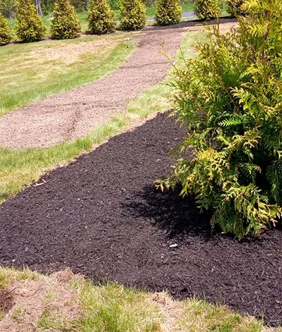 We Work Hard on Your Landscape