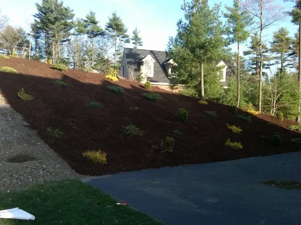 work photo from limaslandscape.com