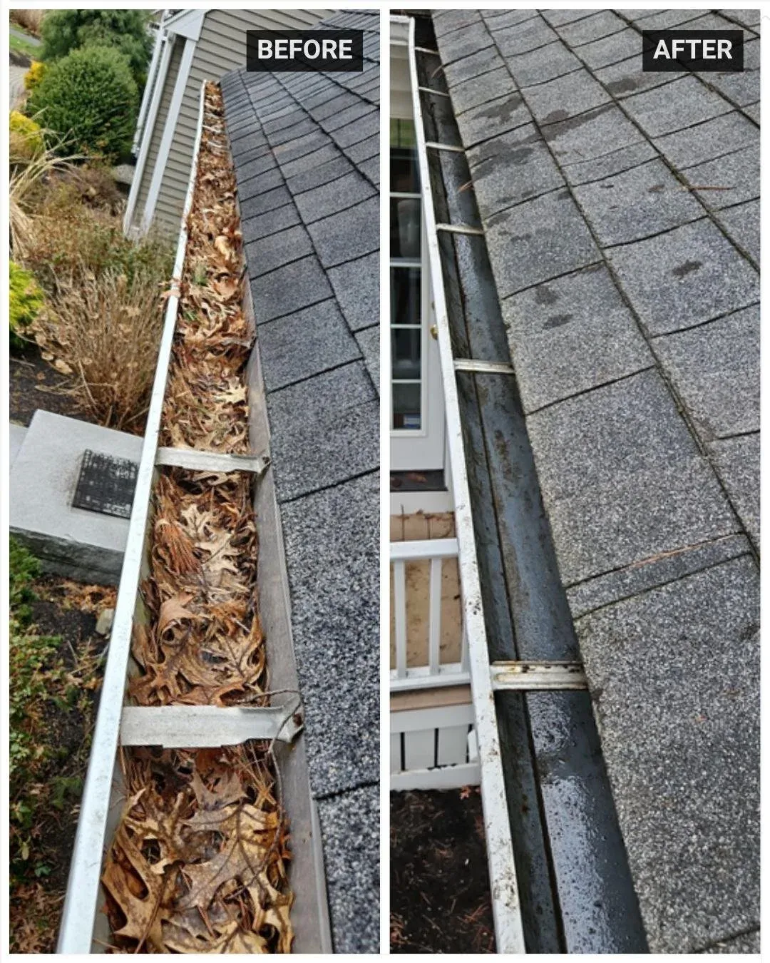 Out of sight, out of mind&hellip; until it becomes a problem 🍂

Clogged gutters can lead to water damage, foundation issues, and costly repairs

A simple cleanup makes all the difference

Call 781-835-8864 or visit masslawnpros.com to book

#gutterc