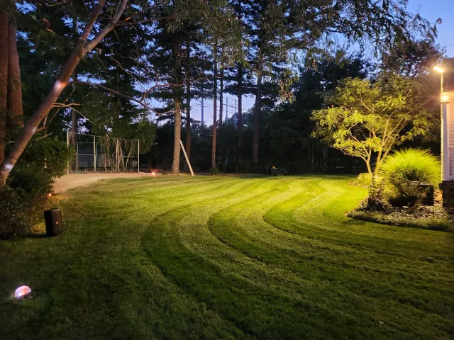 A well-maintained backyard lawn illuminated by outdoor lighting at dusk, with trees, shrubs, and a fence in the background.