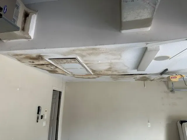 American Dream Environmental Services work photo