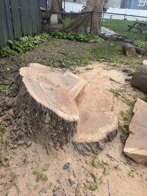 Adam's Complete Landscaping researched project photo