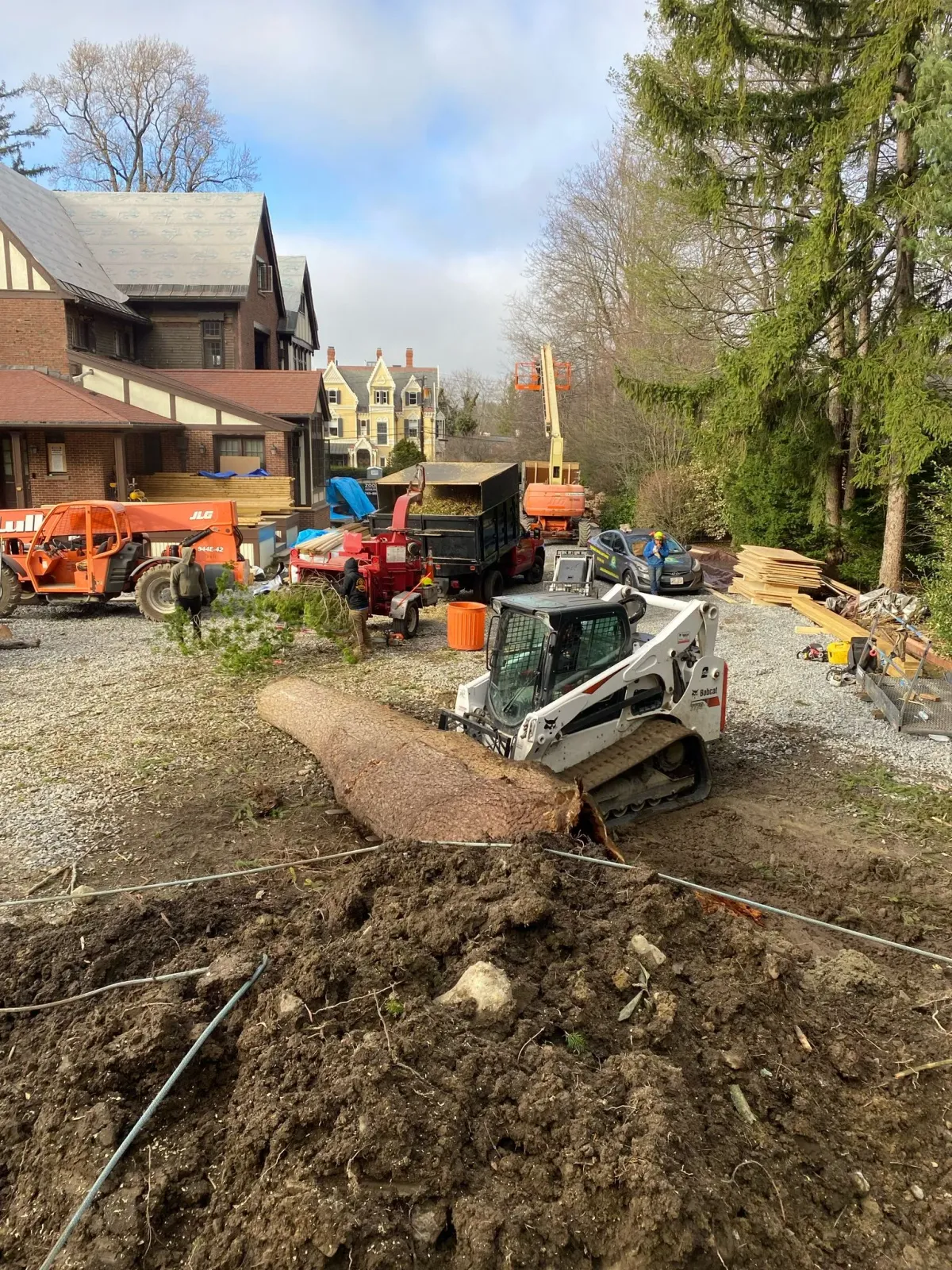 work photo from adantreeservices.com