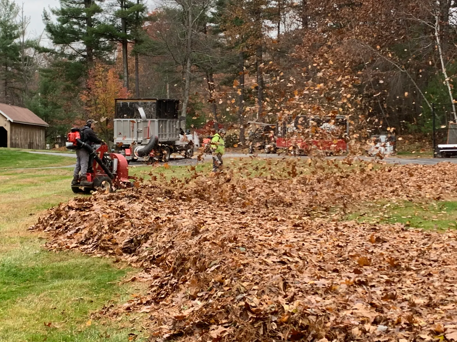 work photo from Google listing