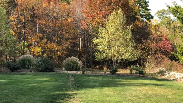 Scott's Landscaping work photo