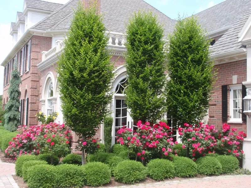 work photo from jbtreeandlandscape.com