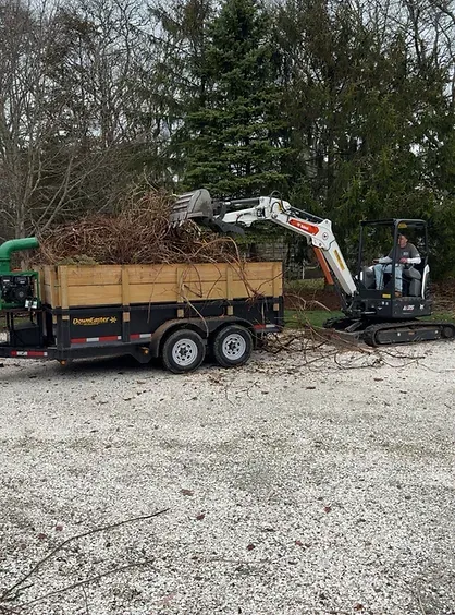 Brush Removal in Mattapoisett