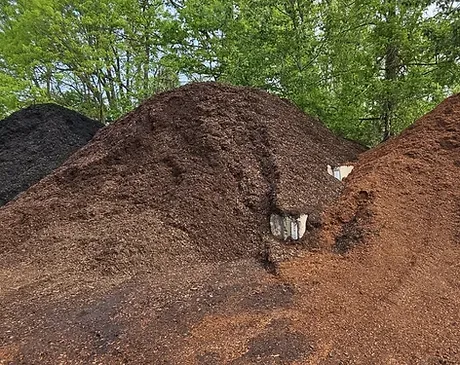 fall cleanup