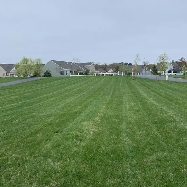 Morcone Landscaping work photo