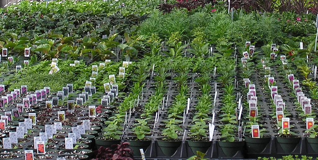 work photo from gillislandscape.com