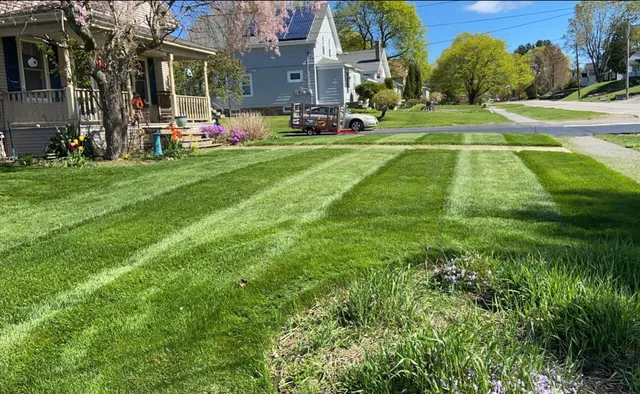 NJG Landscaping researched project photo