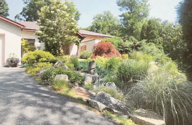 Boulder garden with grasses. Shrubs and succulents