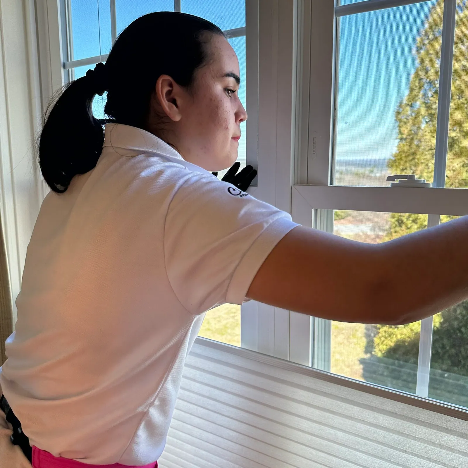 Move-in/Move-our Cleaning