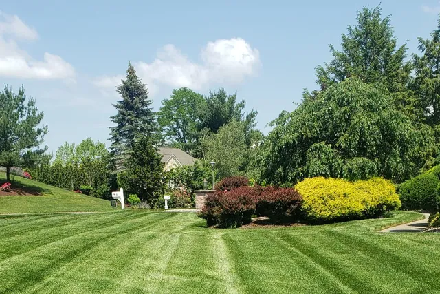 Weekly lawn care image