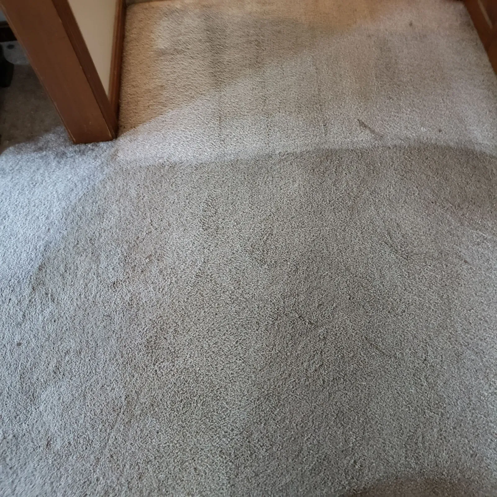 a close up of a carpet in a room with a door in the background