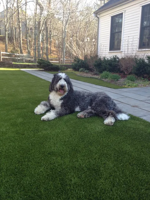 ForeverLawn Massachusetts work photo