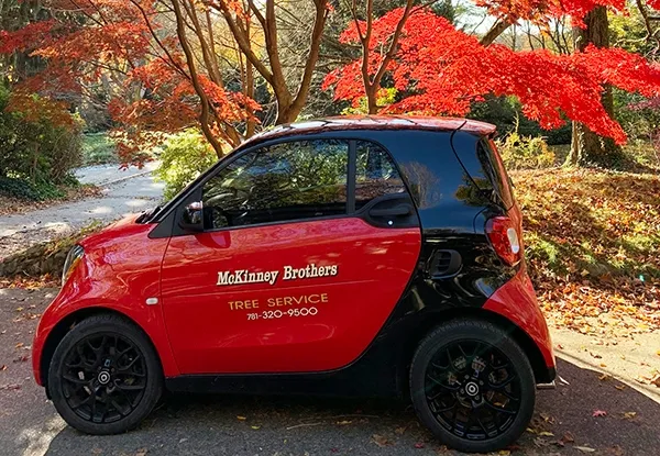 McKinney Brothers, smart car
