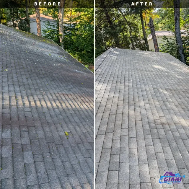 Before and after roof washing in Barnstead, NH