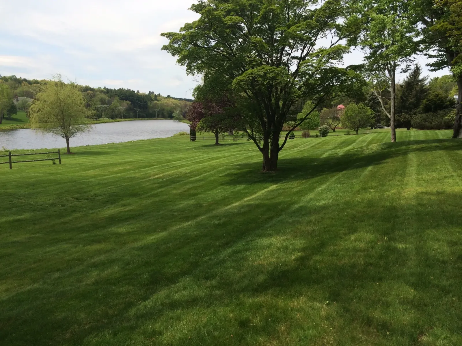 Beautiful Lawn.jpg