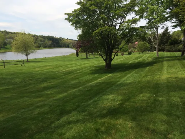 Beautiful Lawn.jpg