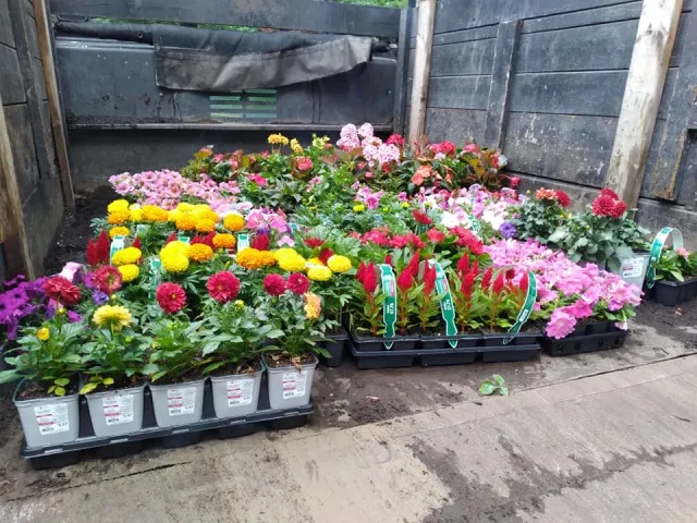 work photo from leonels-landscaping.com