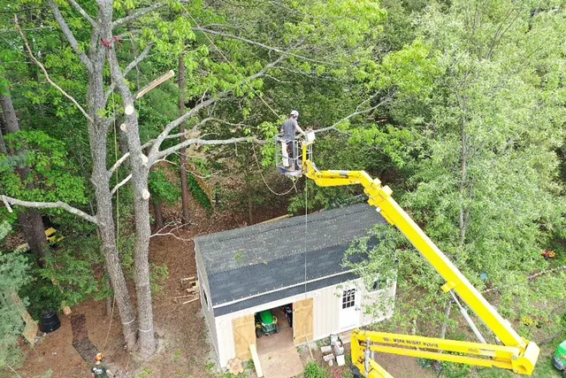work photo from burkestreeservice.net