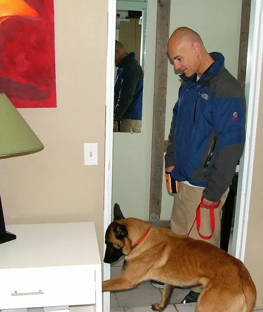 Sniff K9s work photo