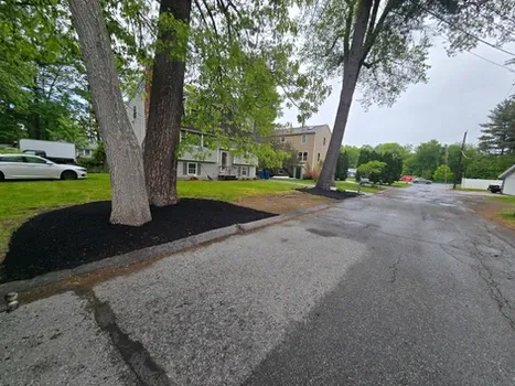 work photo from peymanlandscaping.com