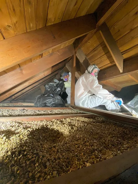 2024.01.29 - Vermiculite - before