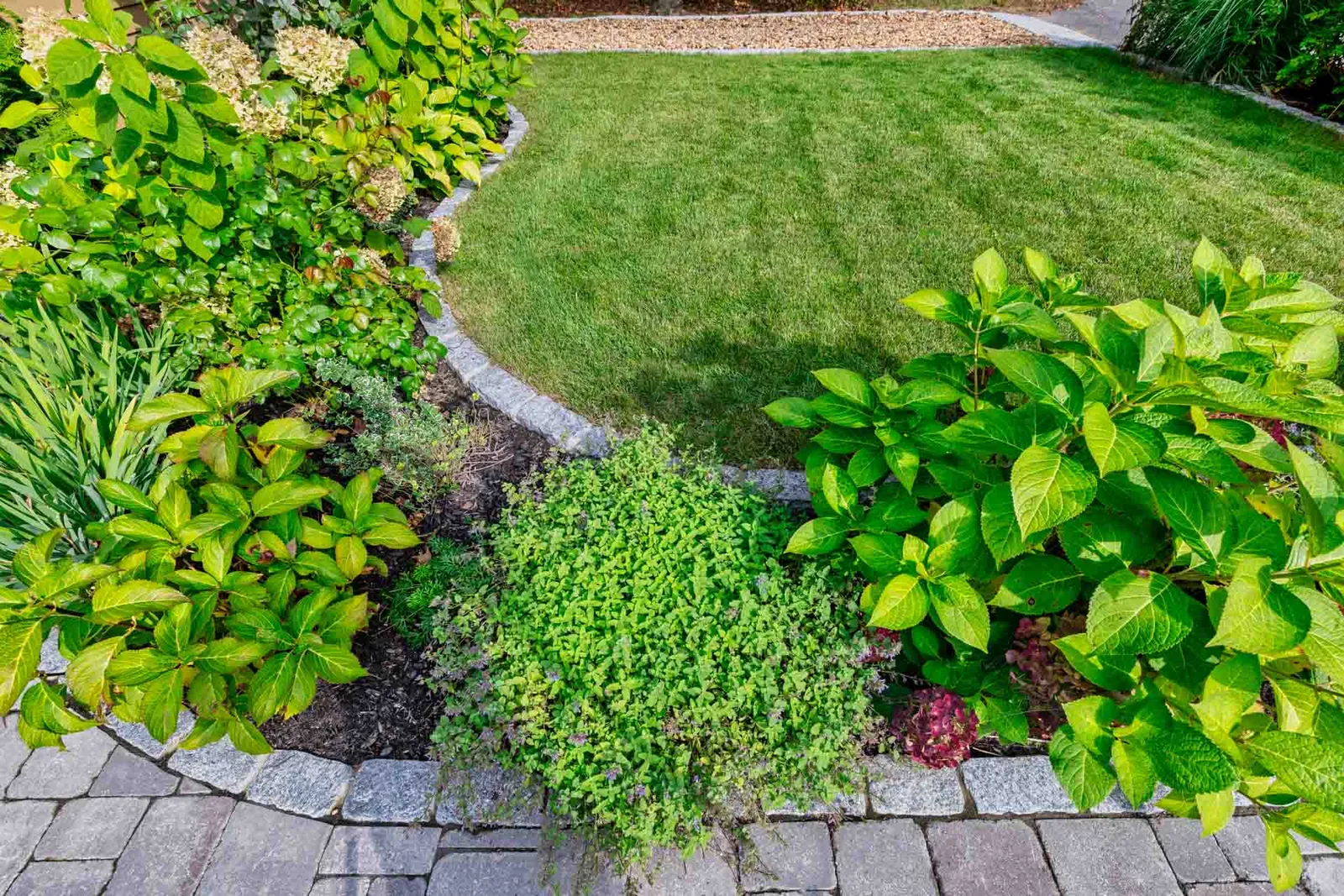 Garden Bed Maintenance