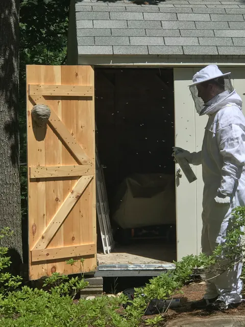 Anchor Pest Services work photo