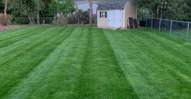 T.L LANDSCAPING researched project photo