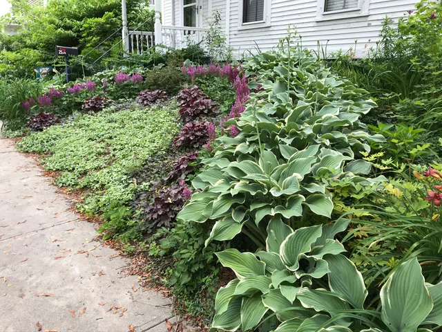 Healthy Home Habitats work photo