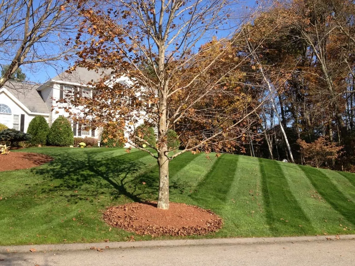 work photo from randalllandscaping.com