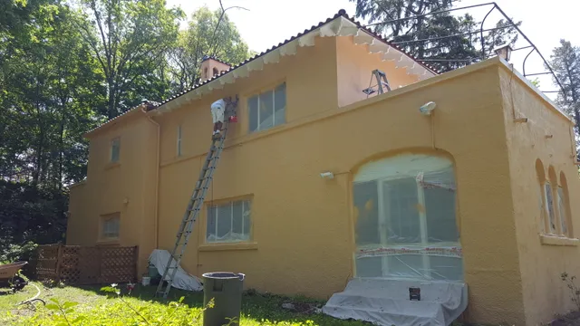 Blue And Angelo Pro Painting work photo