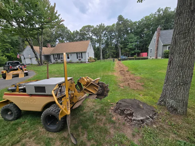 Underhill Stump Grinding work photo