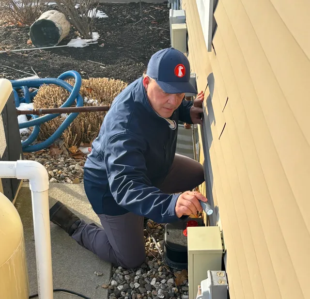 Meerkat Pest Control work photo