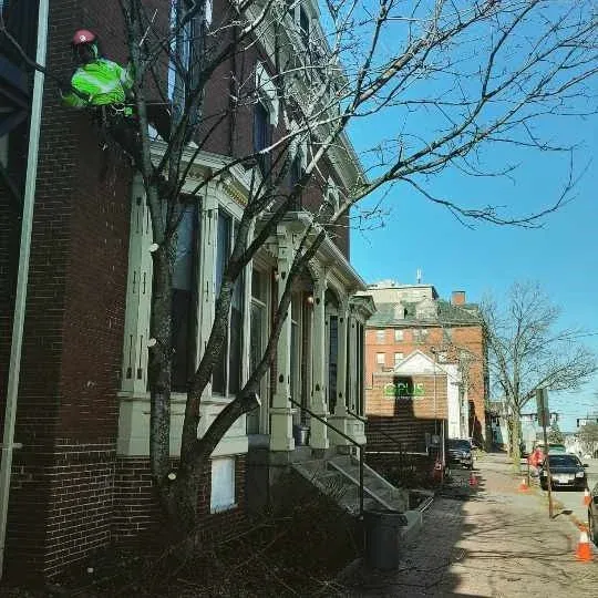 work photo from 207landscaping.com