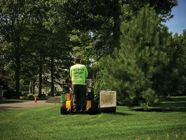 Green Bird Landscaping, Inc. work photo
