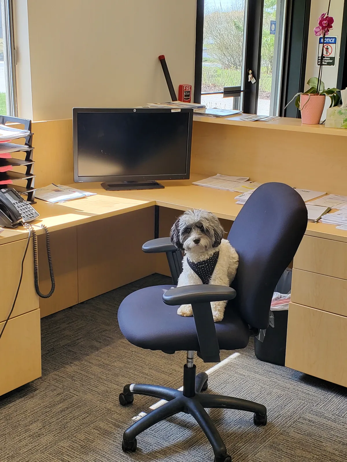 work photo from Google listing