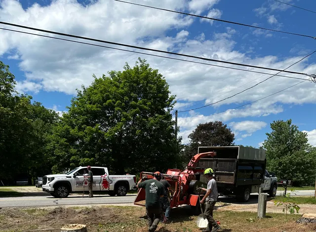 Tip Line Tree Service Inc work photo