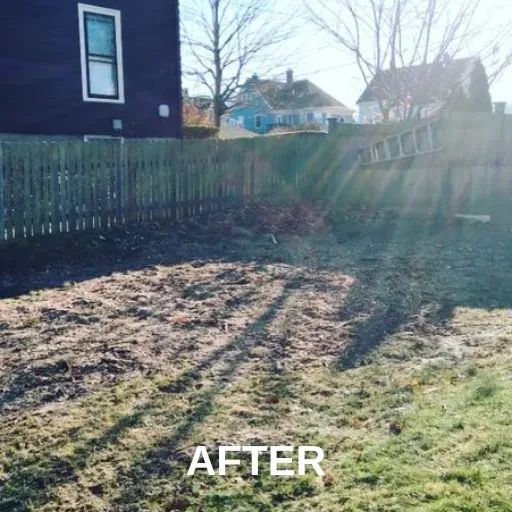 Tall Tree Removed — Ware, MA — LaBier Brothers Tree Experts